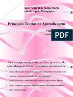 Teorias ensino aprendizagem.pdf