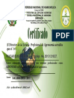Certificado Delia