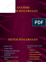 287058075-ANATOMI-SISTEM-PENCERNAAN-ppt.pdf