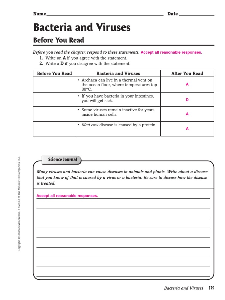 Bacteria Worksheet PDF | PDF | Bacteria | Prokaryote
