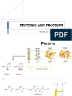 p2 Biokim i Peptides and Protein