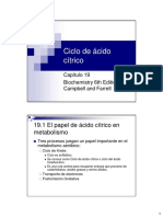 CAP 19 Ciclo de ácido cítrico.pdf