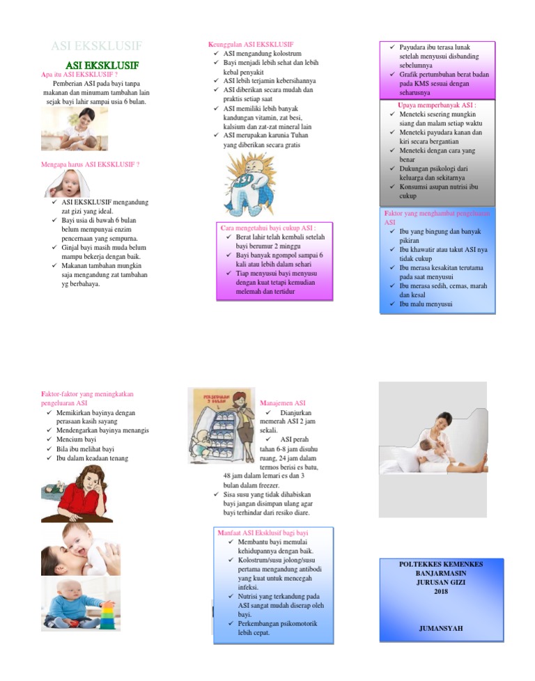 Leaflet Asi Eksklusif | PDF