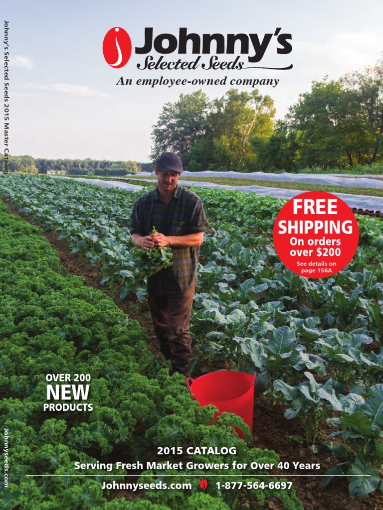 Recipes PDF Artichoke Phaseolus Vulgaris