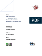 Temas:: Redes Opticas Pasivas Estructura de Una Red Diagrama y Funcionamiento Clasificación de Redes de Fibra Optica
