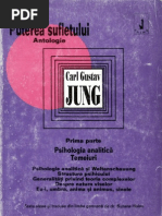 Carl Gustav Jung Puterea Sufletului 1 Psihologia Analitică Temeiuri