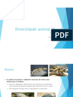 Diversidade Animal IV