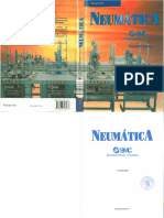 Neumatica PARANI PDF