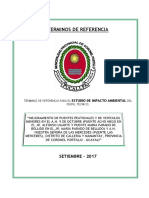 TDR - Estudio de Impacto Ambiental - Perfil Puentes Acho Mego Bellido y Mercedes
