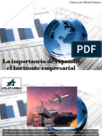 Carlos Luis Michel Fumero - La Importancia de Expandir El Horizonte Empresarial