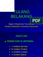 8 (Tulang Belakang)