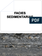 facies sedimentarias.ppt