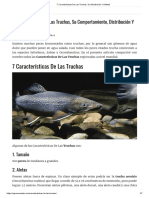 7 Características De Las Truchas, Su Distribución Y Hábitat.pdf