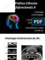 Aula 01 - Prática Ciências Morfofuncionais II