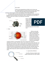 Jurnal Belajar Biooptik