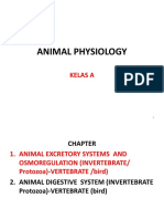 Animal Phisiology A