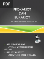 Prokariotik Dan Eukariotik