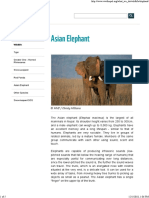 Asian Elephant - WWF.pdf