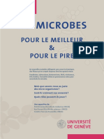 Brochure Microbes