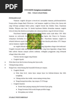 Download Mengenal lebih jauh tanaman Cengkeh by Erland A Rukka SN39543881 doc pdf