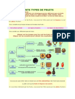 Les Differents Types de Fruits