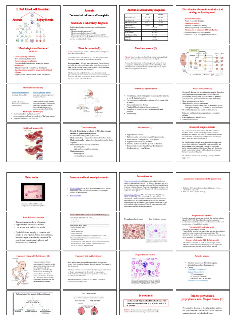 Red Blood Cell Disorders Overview | PDF | Anemia | White Blood Cell