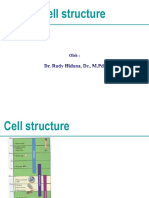 Cell Structure