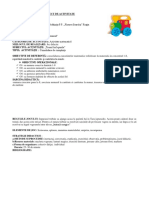 Proiect Joc Didactic 1