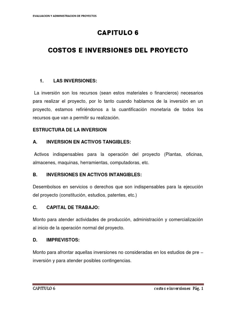 Costos e Inversiones en Proyectos | PDF | Capital de trabajo | Activo fijo