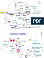 Ophthalmic N.: Dura - Post. Cranial Fossa Forehead - Skin Lacrimal Gland