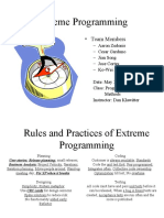Extreme Programming: - Team Members