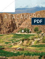 atacameno.pdf