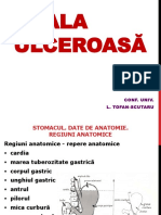 2.-Boala Ulceroasă.pptx