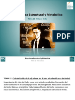 Tema 12. Ciclo de Krebs.pdf