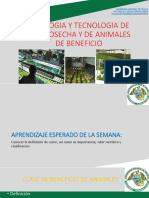 Clase8 - Beneficio de Animales PDF