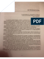 Araujo PDF