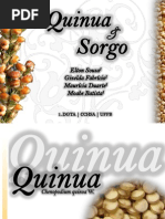 Quinua e Sorgo