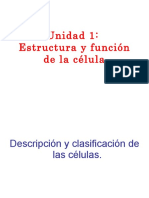 PDF Célula 2