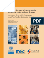 Herramientas para la transformación productiva en las cadenas de valor- los casos de la miel y la papaya en el Pacífico Central costarricense.pdf