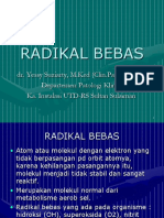 Radikal Bebas