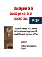 aspectos_legales_pericial_proceso_civil.pdf