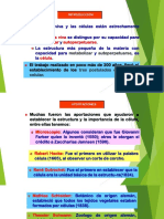 1.7-1.11, Célula Proxima Clae