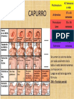 capurro.docx