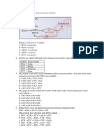 Soal Materi Genetik