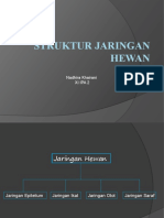 Struktur Jaringan Hewan