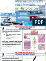 Citologia y Metodos Histologicos.pptx