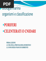 Classificazione Organismi Marini