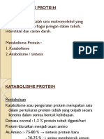 Metabolisme Protein