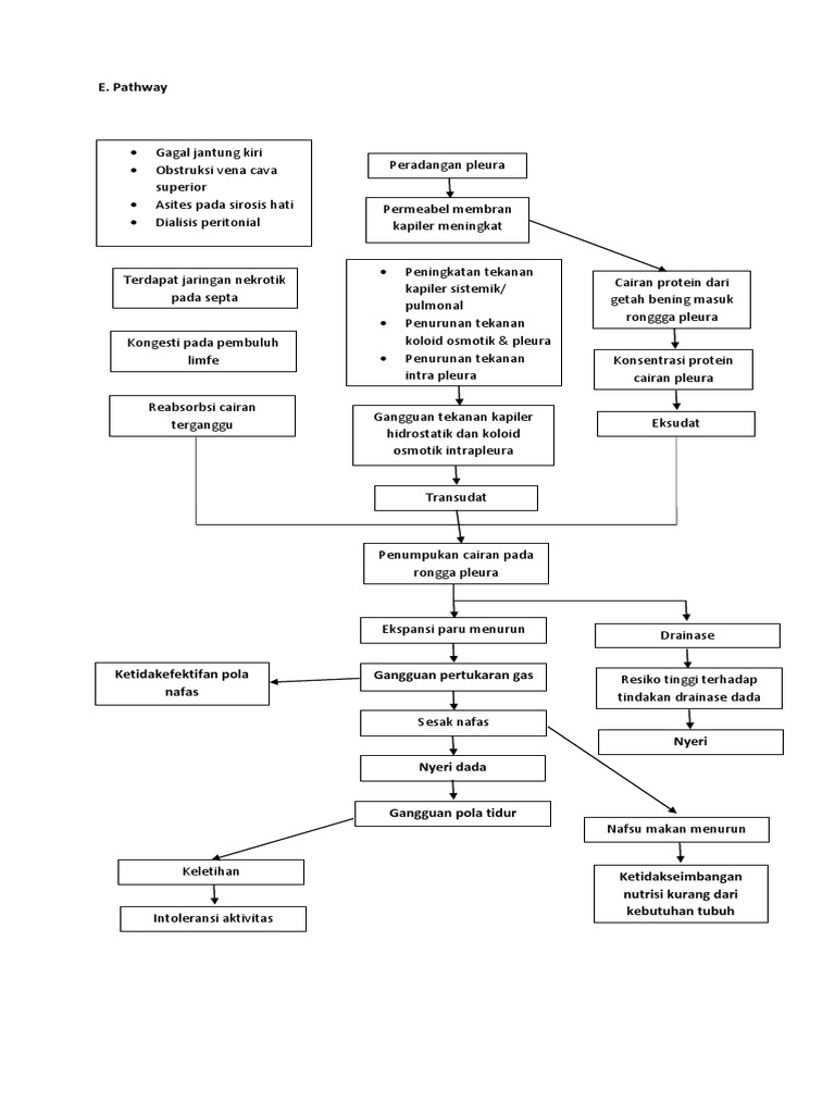 Pathway Efusi Pleura | PDF
