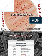 E. coli: Características, tipos y diagnóstico